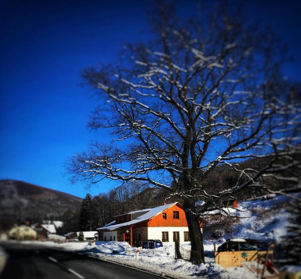 Chata U Cecila Loučná nad Desnou Exteriér fotografie