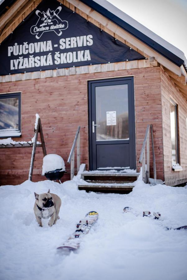 Chata U Cecila Loučná nad Desnou Exteriér fotografie